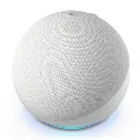 image_1024 (67).webp