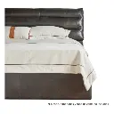 Untitled design - 2025-07-30T130155.785.webp