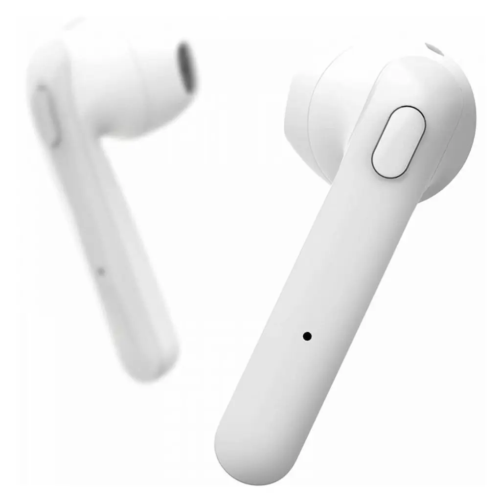 image_1024 (22).webp