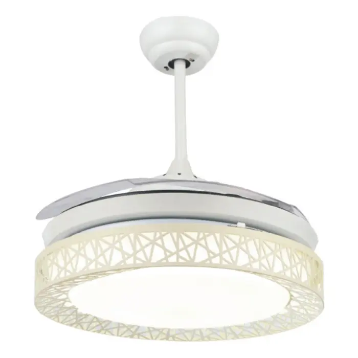 Untitled design - 2025-07-31T150719.605.webp