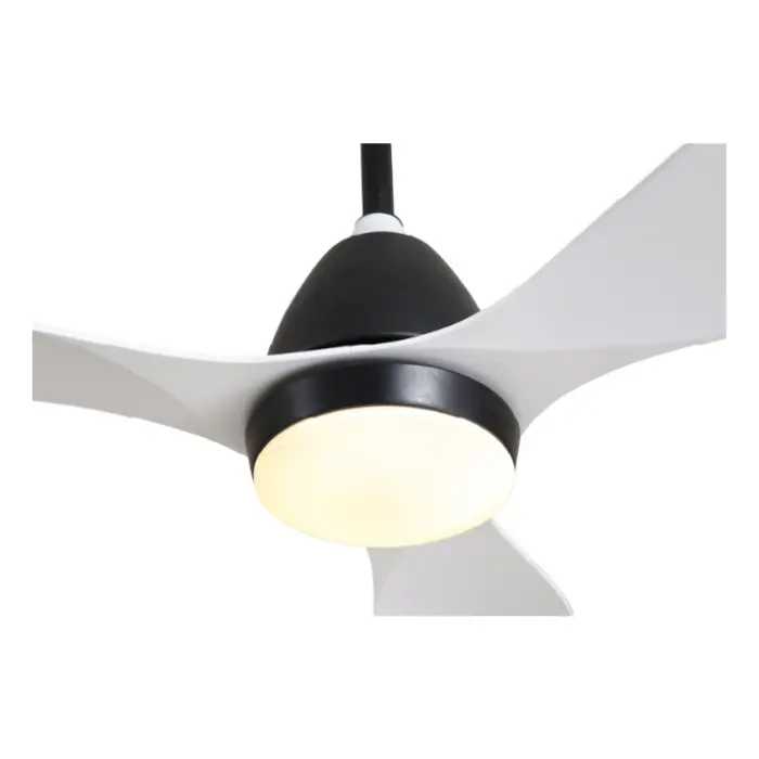 Untitled design - 2025-07-31T151541.434.webp