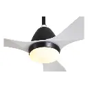 Untitled design - 2025-07-31T151541.434.webp