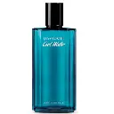 image_1024 (41).webp