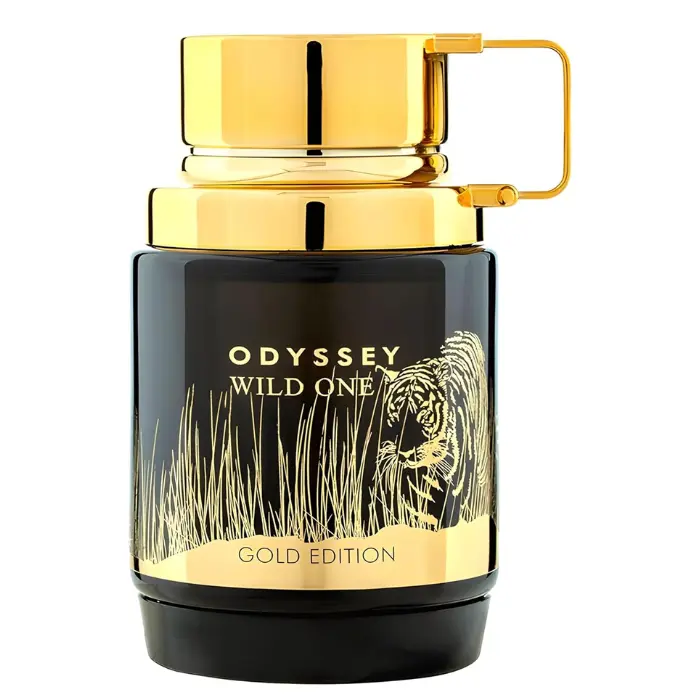 Diseño. - 2025-12-17T185725.558.webp