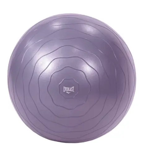 Bola de Ejercicio Everlast 55CM EVYB3W255