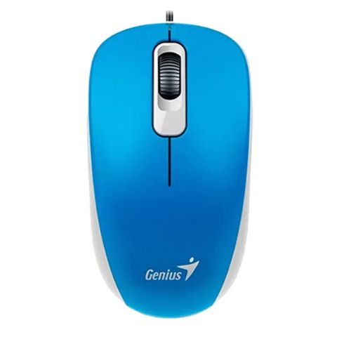 Mouse Genius RS2 DX-110 31010116103
