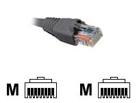Cable de interconexión de Red Nexxt Cat.5E RJ-45 (M) a RJ-45 (M) AB360NXT45