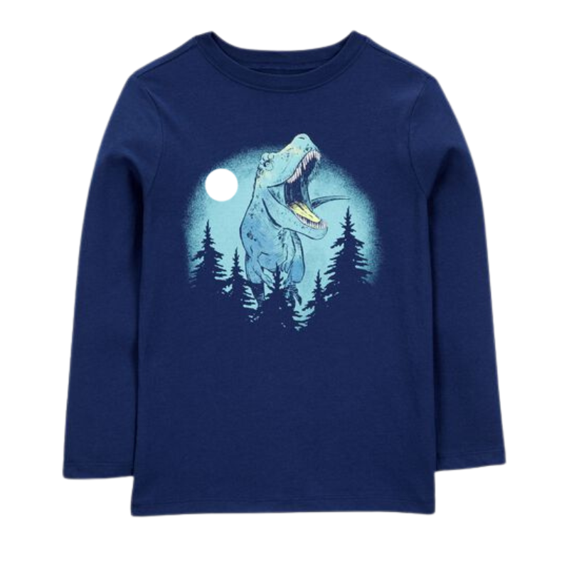 Camiseta manga larga dino