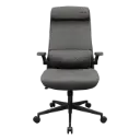 Silla Gamer Cougar Stryder Ergonómica Gris 3MSTDGRB.0001