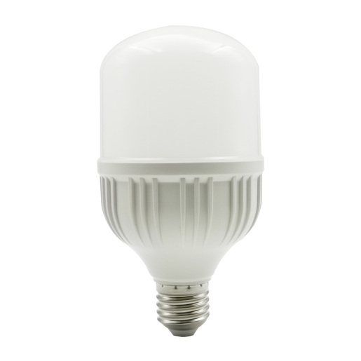 BOMBILLO DE LED LHB 20WW 6500K