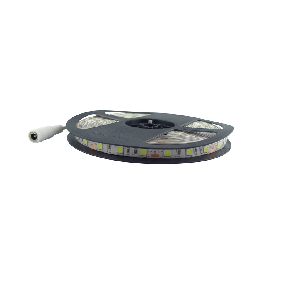 Tira flexible de LED 5050 SMD 12V IP65 Luz de Día