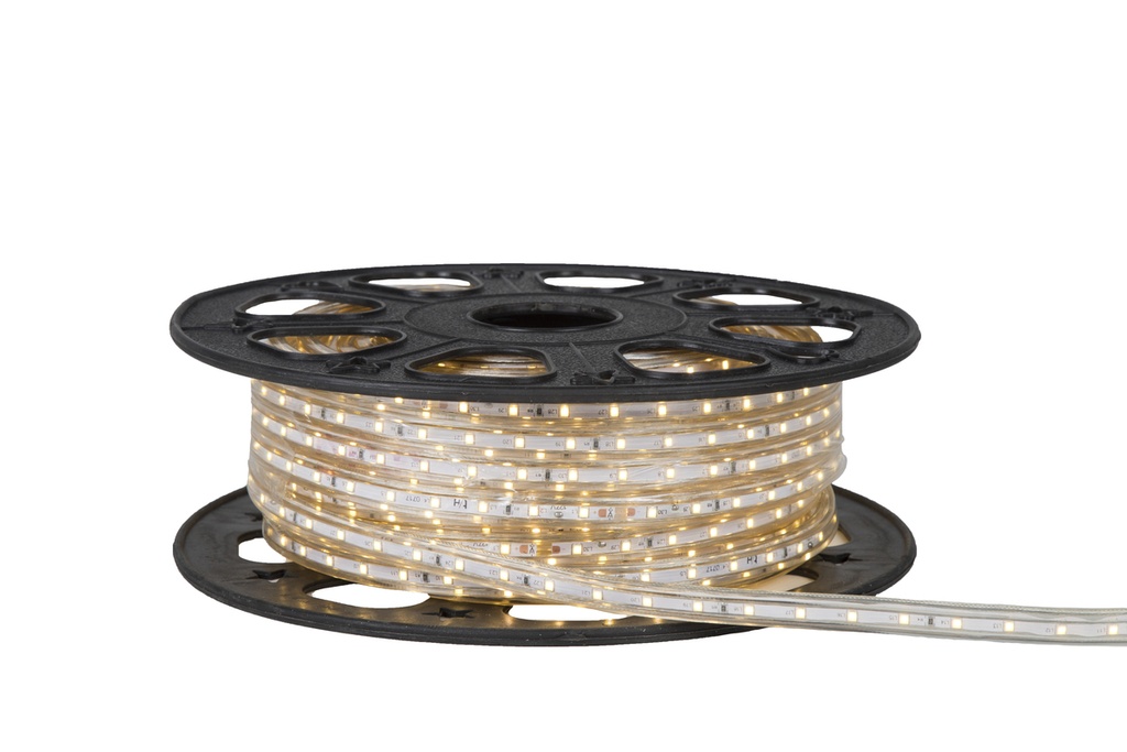 MANGUERA PLANA DE LED 5050 SMD 127V IP65 10 METROS BC