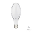 BOMBILLO DE ALTA POTENCIA  30W 100-240V