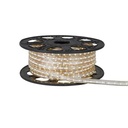 Manguera plana de LED 5050 SMD 127V IP65 BC 25M