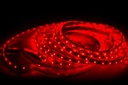 Tira flexible de LED 3528 SMD 127V IP45 Rojo