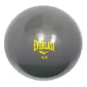 Bola Everlast para Fitness 8LB EVFB1S08